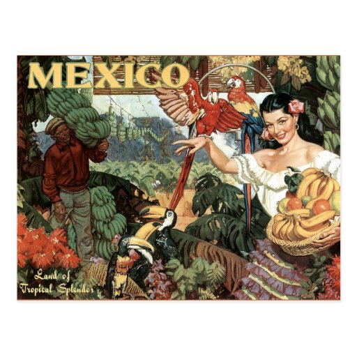 Vintage Mexico Postcards 76