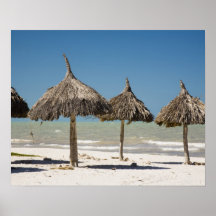 Mexico, Yucatan Peninsula, Progreso. Thatch Posters