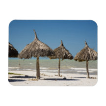 Mexico, Yucatan Peninsula, Progreso. Thatch Rectangle Magnet