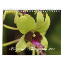 _MG_9980, Perspective Photography 2009 calendars