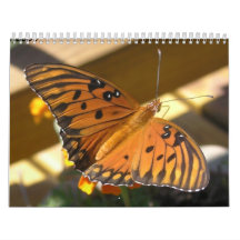 Mi mundo de mariposas calendarios