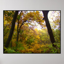 Mi poster del esplendor del otoño del mundo
