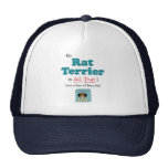 ¡Mi rata Terrier es toda la eso! Gorros