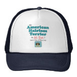 ¡Mi Terrier sin pelo americano es todo el eso! Gorros