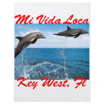 Mi Vida Loca Key West Wild Dolphins flyers