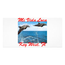 Mi Vida Loca Key West Wild Dolphins photo cards