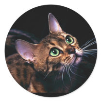 Mia That's Life Samara Sticker