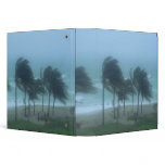 Miami Beach, Florida, hurricane winds lashing binders