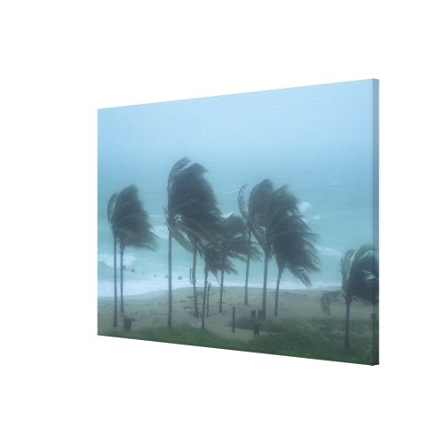 Miami Beach, Florida, hurricane winds lashing wrappedcanvas