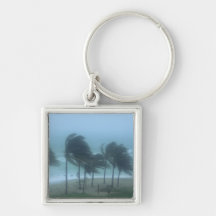 Miami Beach, Florida, hurricane winds lashing Keychain