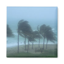 Miami Beach, Florida, hurricane winds lashing Refrigerator Magnets