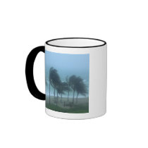 Miami Beach, Florida, hurricane winds lashing Mug