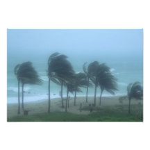 Miami Beach, Florida, hurricane winds lashing Photo Art