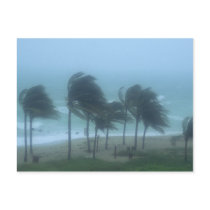 Miami Beach, Florida, hurricane winds lashing Postcards