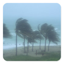 Miami Beach, Florida, hurricane winds lashing Stickers