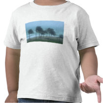 Miami Beach, Florida, hurricane winds lashing T-shirts