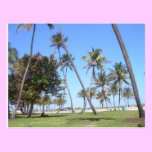 Miami Beach postcards