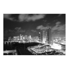 Miami by Night in Black and White print