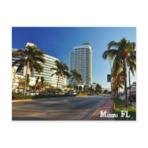 Miami FL Postcard
