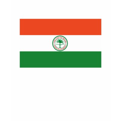 Miami Flag T-shirt by FlagTshirts