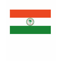 Miami Flag T-shirt
