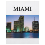 MIAMI florida flyers