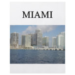 MIAMI florida flyers