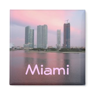 Miami magnet