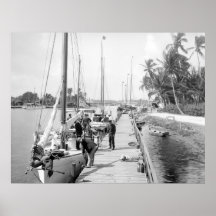 Miami Sailboats, 1905 Posters