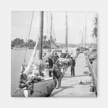 Miami Sailboats, 1905 Refrigerator Magnet