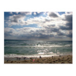 Miami Series Post Card