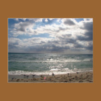Miami Series postcards