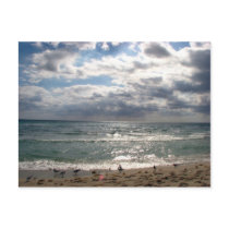 Miami Series postcards