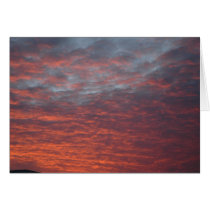 Miami Sunset cards