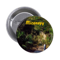 Micanopy, Florida buttons