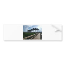 Micanopy  paynes prairie bumper stickers