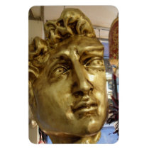Michael Angelo's David Mask Venice Vinyl Magnet