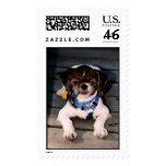 michael postage