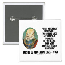 Michel de Montaigne Never Two Opinions Alike Quote