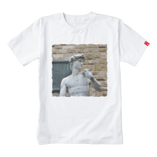 michelangelo david t shirt