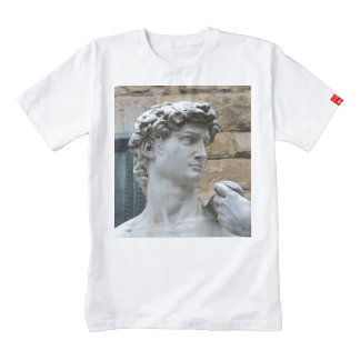 michelangelo david t shirt