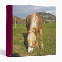 michi- grasend 3 ring binder