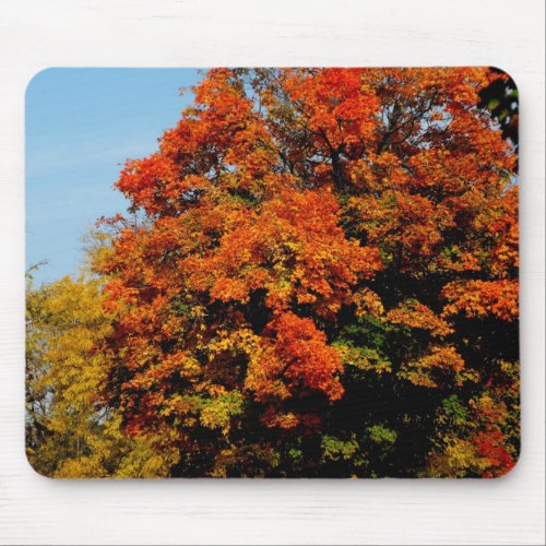 Michigan Autumn mousepad