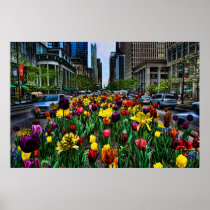 Michigan Ave Tulips posters