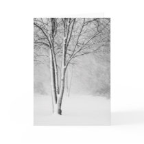 Michigan Blizzard Greeting Card
