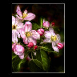 Michigan Blooms Postcard postcards