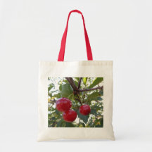 Michigan Cherries Bags