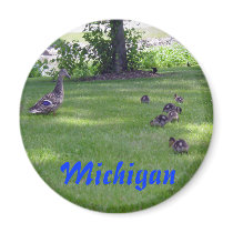 Michigan Ducklings magnets