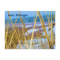 Michigan Dune Grass Post Card postcards