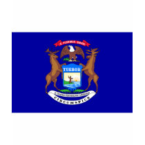 Michigan FLAG International t-shirts